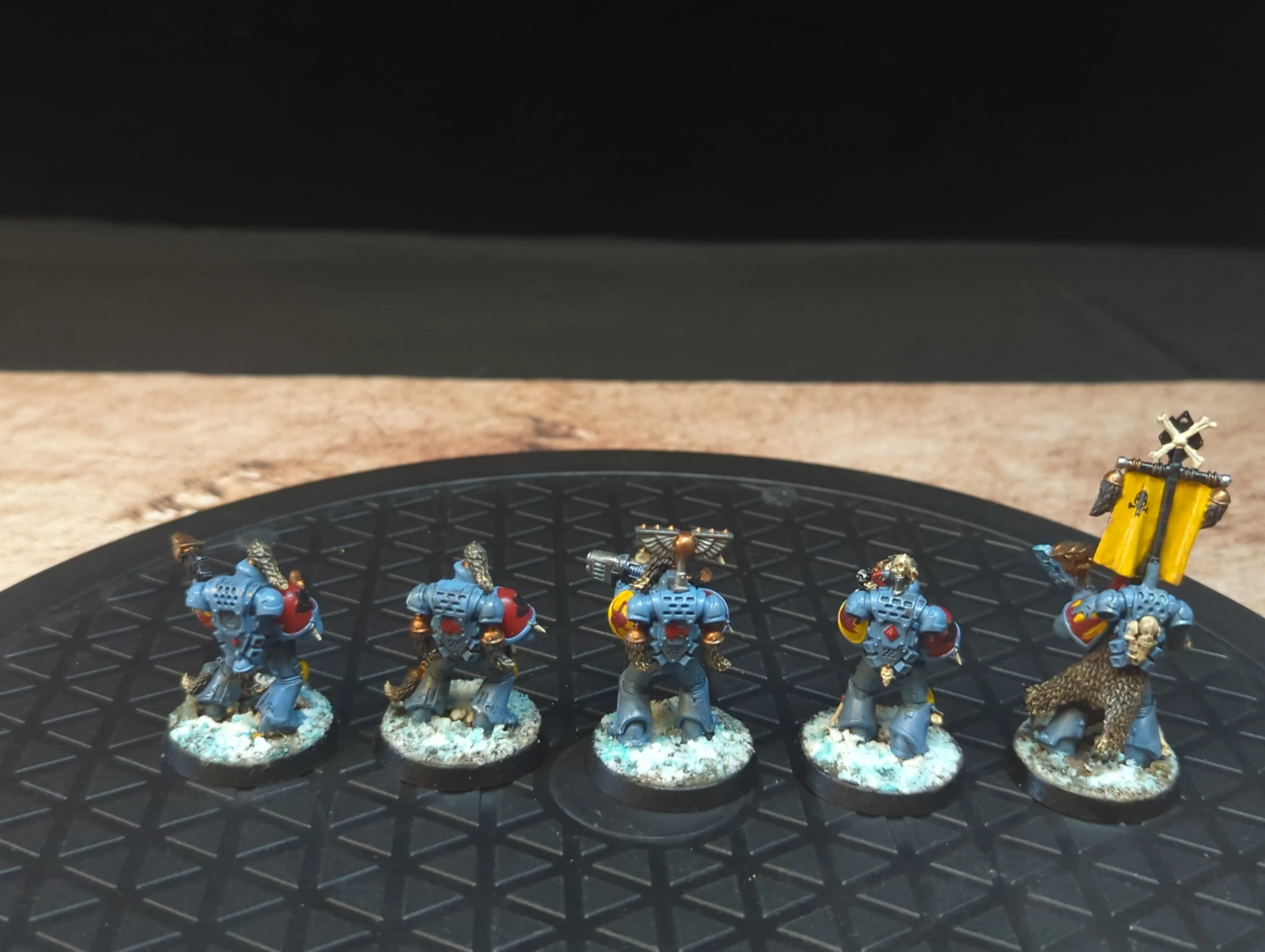 Warhammer 40k Space Marines Tactical Squad x5 Painted - Image 2