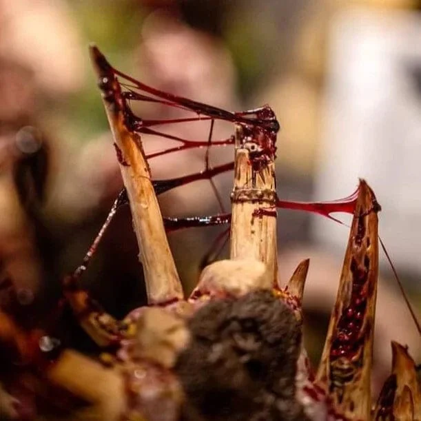 Dirty Down Gore COMBO - Gore & Snot - Image 4