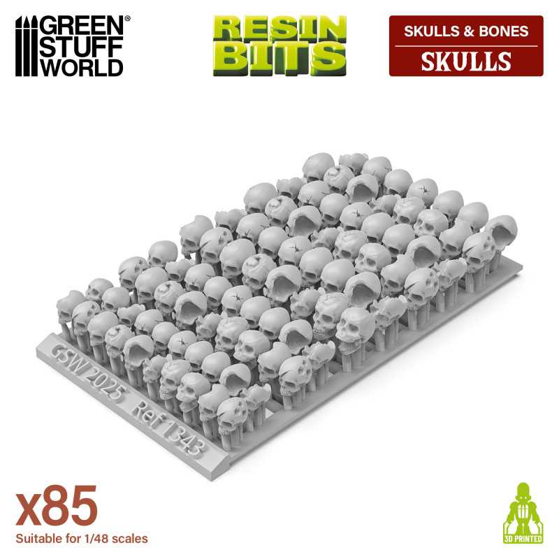 GSW Resin Skulls - Human Skulls x85